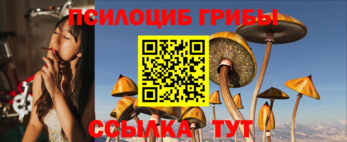 Галлюциногенные грибы мухоморы  закладка  Ревда  Псилоцибиновые грибы GOLDEN TEACHER  Вход с VPN 