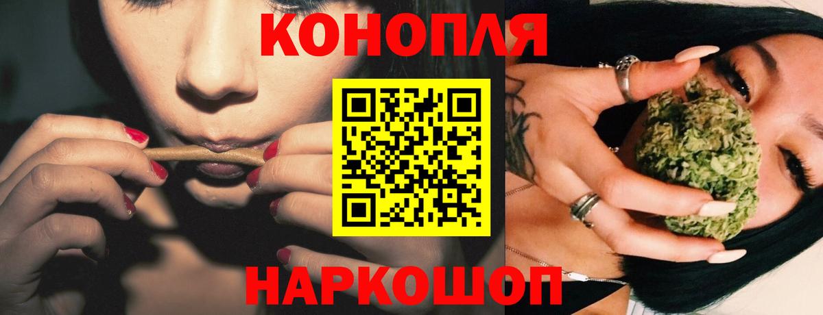 Каннабис индика Ревда
